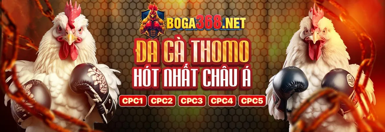 Giao diện cá cược trực tiếp Kabet